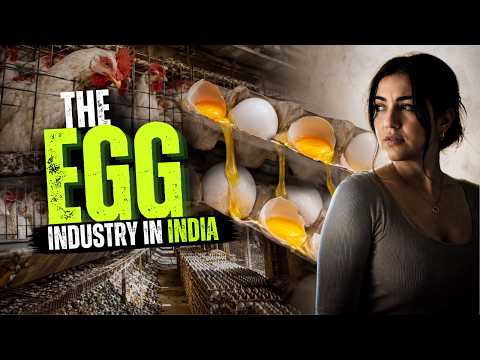 INVESTIGATION: Are Eggs Vegetarian?
