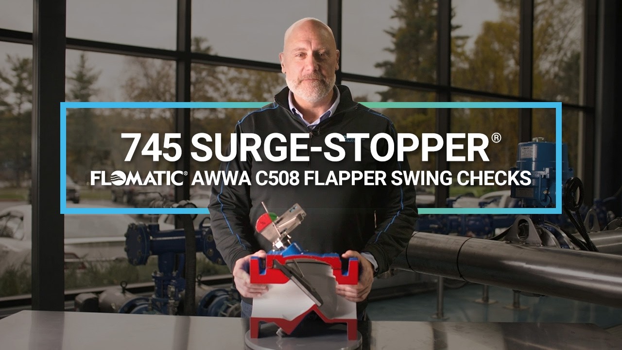 Flomatic's Model 745 Surge-Stopper®. Effectively Prevent Slamming ...