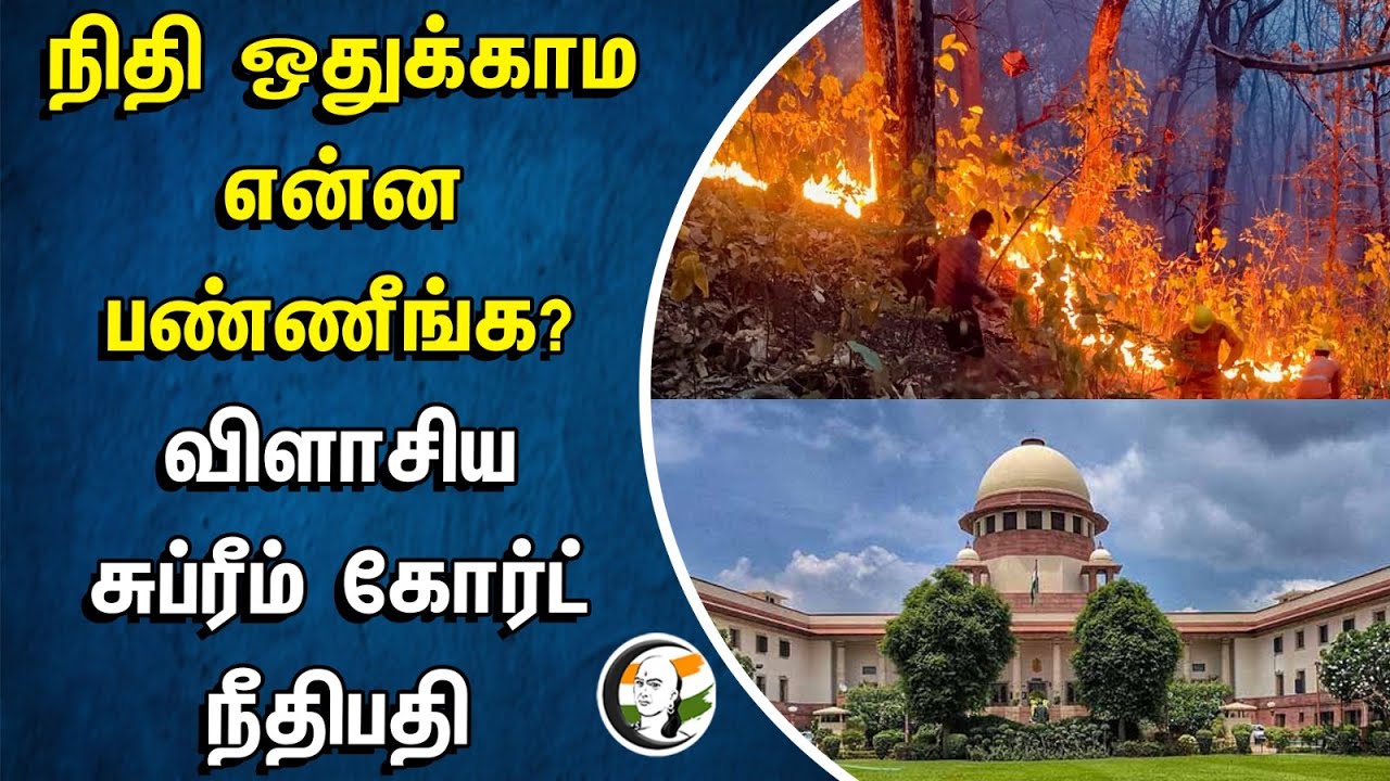 ⁣நிதி ஒதுக்காம என்ன பண்ணீங்க? | விளாசிய Supreme Court Judge | Fund | Uttarkhand | Forest Department