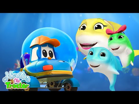 Tiburón bebé 🦈🎶 Compilación canciones infantiles y más rimas en español