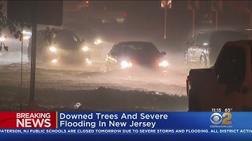 Severe Flooding, Downed Trees Reported Across New Jersey