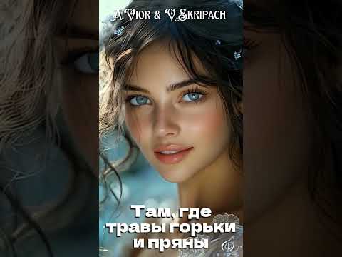 Там ходил я от горя пьяный, там искал я твои следы #виорискрипач #баллада #музыка #леснаяколдунья