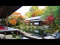 THE DEEP 白鳥英美子 琵琶湖 湖東三山 紅葉