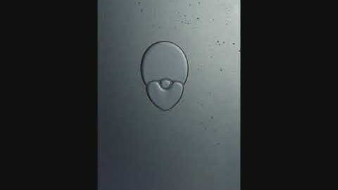 Bubbles in Hele-Shaw Cell