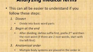 MBC Vet Tech Online Review 1.2  Terminology Building Blocks