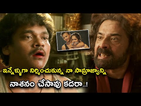 నా సామ్రాజ్యాన్ని నాశనం చేసావు కదరా..! | Nene Kedi No 1 Full Movie Scenes | Shakalaka Shankar