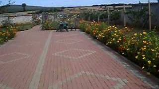 my home-RKS2011.AVI