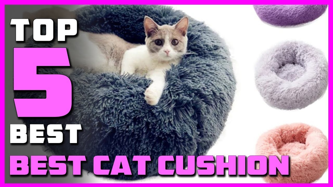 Top 5 Best Cat Cushion on On Aliexpress