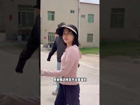 全村40亩的番薯，今年没有销路！阿渔妹果断出击查看情况，帮助农户线上拓宽销路！#助农#直播#农村生活