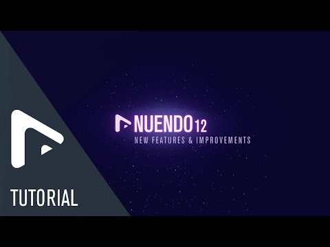 What&#039;s New in Nuendo 12 | The New Home of Dialogue