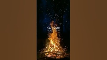 #القرآن_الكريم #راحة #راحة_نفسية #قرآن #قران_كريم #تلاوات #تلاوة_خاشعة #تلاوة_هادئة