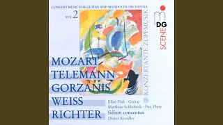 Concerto for Guitar in D Minor: III. Allegro molto (Arr. for Plucked Instruments by Siegfried...