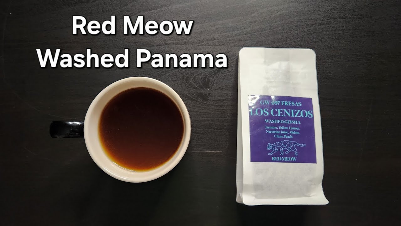 Red Meow Coffee Roastery Review (Tsing Yi, Hong Kong)- Washed Panama ...
