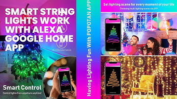Smart String Lights - Alexa Google Home APP