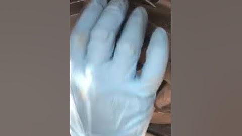 Part:2 2006 Saturn Ion 2 front transmission mount