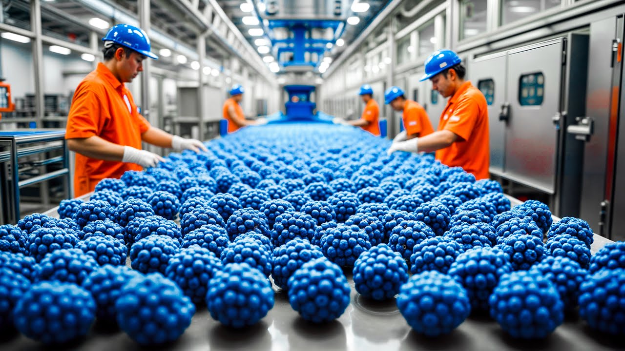 Blue Ribbon Factory Inside How Blue Raspberry Is Made in a Factory | Blue Raspberry Factory ...