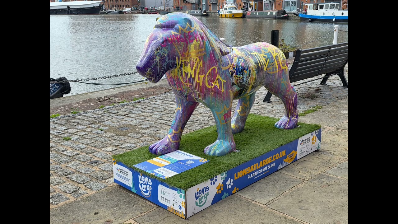 06.09.25.  Some of the Gloucester Lions