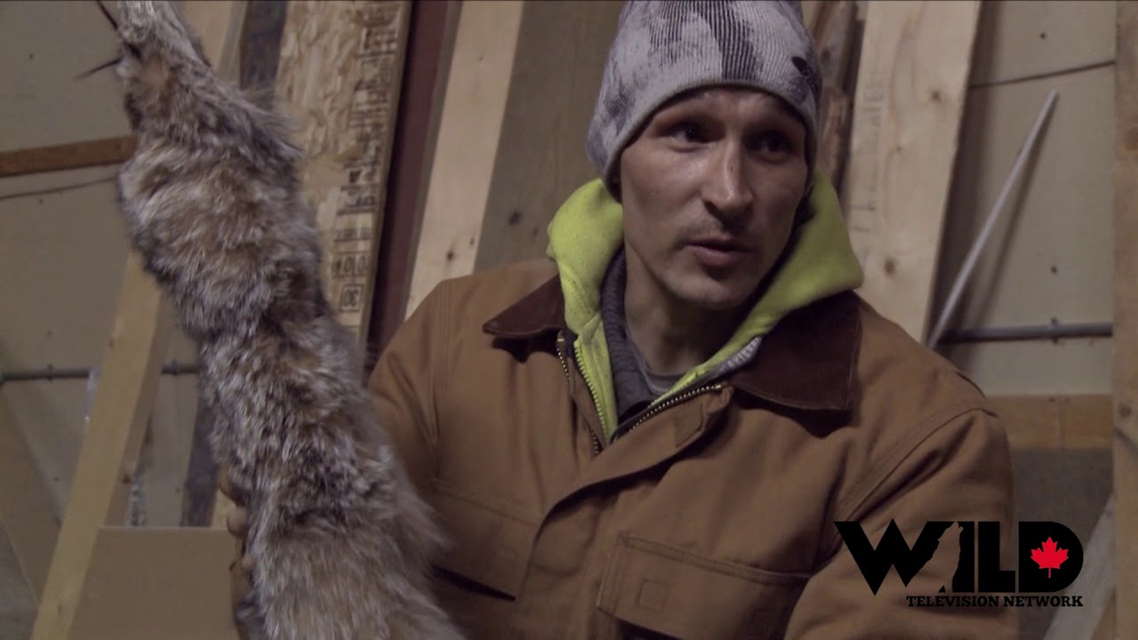 Fur Harvesters NWT Trading Furs YouTube