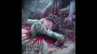 Watch Cenotaph Revenge video