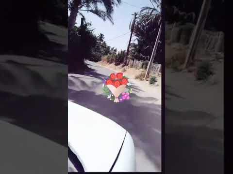 شنني قابس