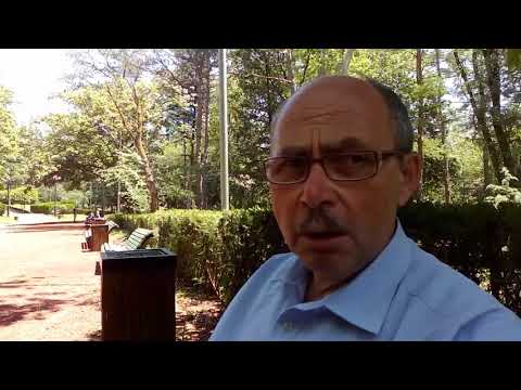 ქართული ოცნების ხელისუფლებას საკუთარი თავის დაცვაც არ შეუძლია-ნიკოლოზ სანებლიძე