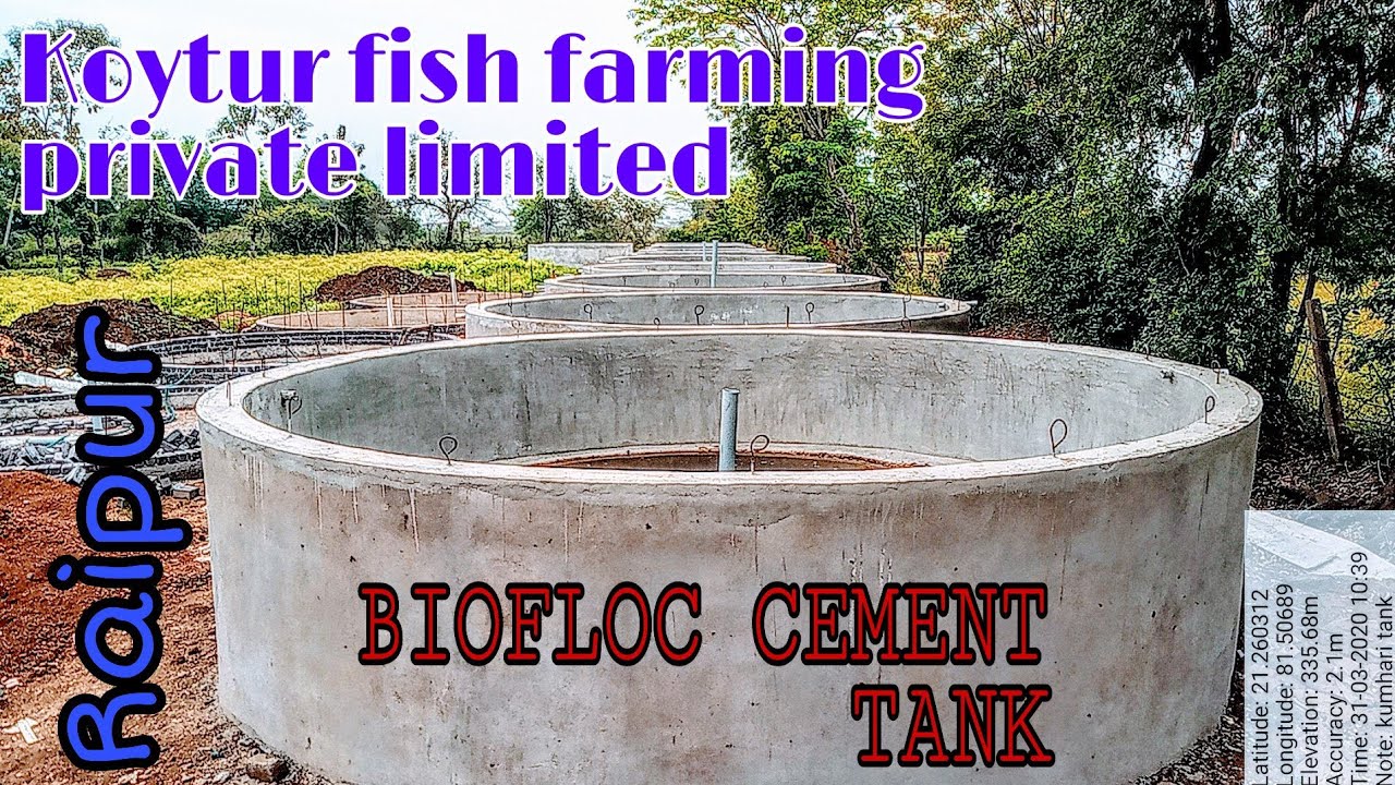 Biofloc cement tank YouTube