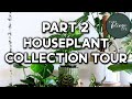 INDOOR PLANT Collection Tour (Over 50+ Houseplants! Part 2)