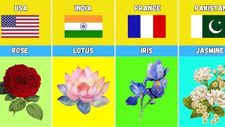 National Flower From Different Countries