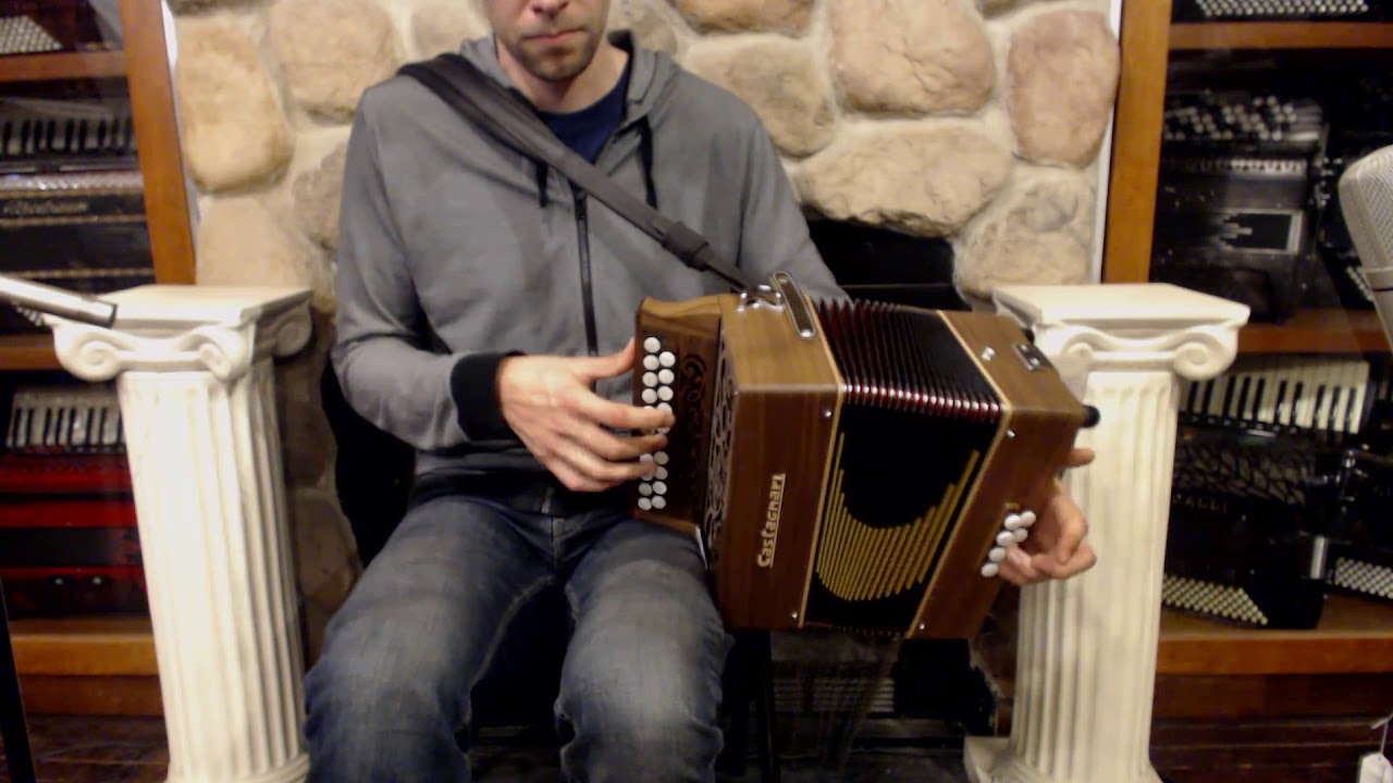 NEW Walnut Castagnari Studio Diatonic Button Accordion AD MM 21 8