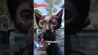 Nadie entendía por qué esta gatita callejera seguía a un desconocido❤️ La verdad hizo llorar a todos