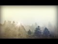 Trees and Fog Church Motion Graphic | Sharefaith.com