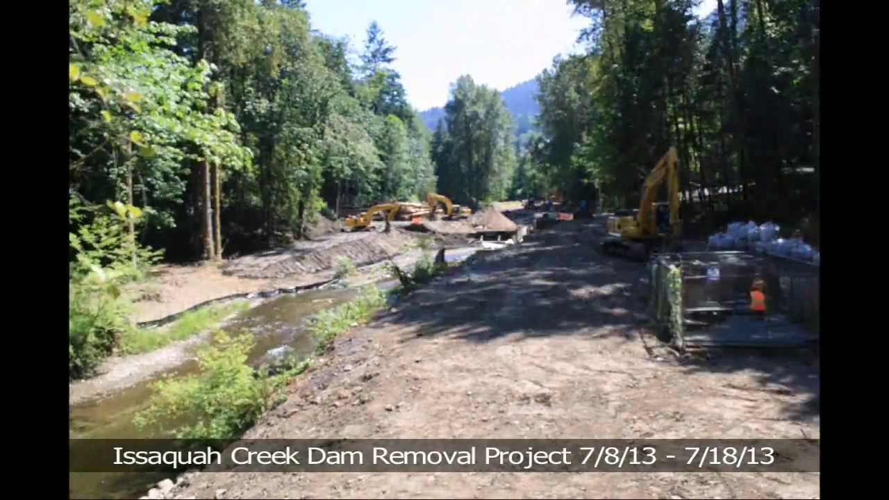 Issaquah Salmon Hatchery Dam Removal July 2013 Project Time Lapse