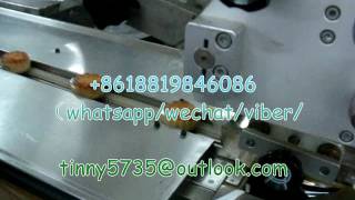MoonCake Flow Pack machine,Mooncake pillow packaging machine,Mooncake flow packing machine