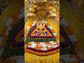 Baba Tu he Dheke Meri Nakamiya Re #khatu #khatushyam #trending #bhakti #devotional #shyam #bhajan