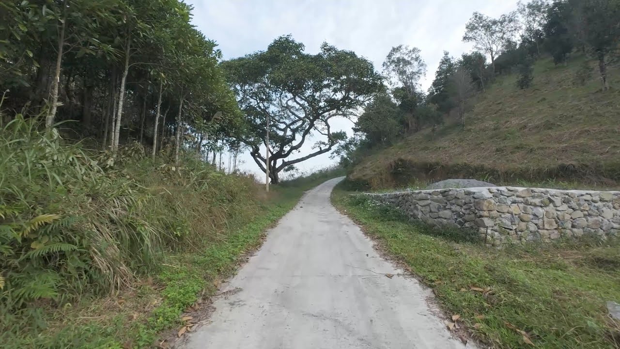 Camera hành trình 4 - Đến đỉnh núi Cao Xiêm ở Bình Liêu, Quảng Ninh