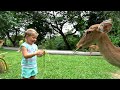 Diana feeds animals at the zoo