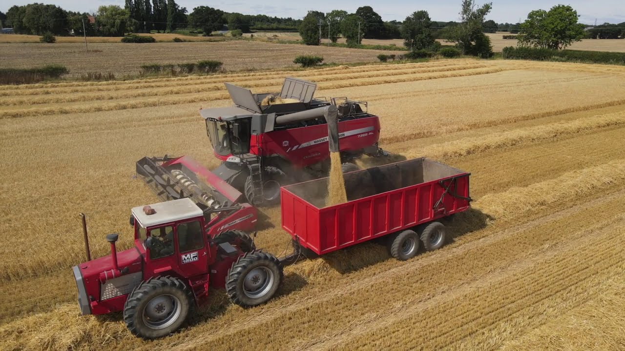 Massey Ferguson Centora 7382 AL Combine & MF 1200   HD 1080p