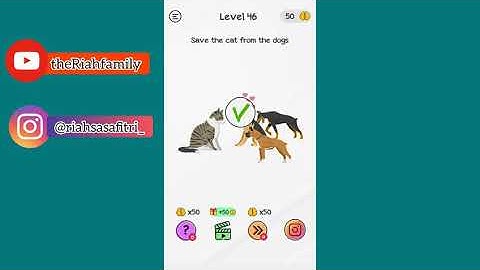 Braindom level 46 save the cat from the dogs