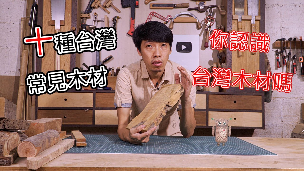 10 Common Woods in Taiwan | How to Identify Wood