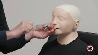 Epistaxis Done Right: Posterior Epistaxis Management