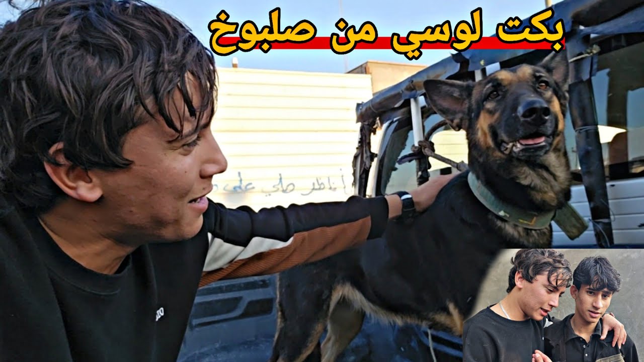 ضحكت على اخو صلبوخ عباس وبكت لوسي منهم_جبت لوسي لديالى