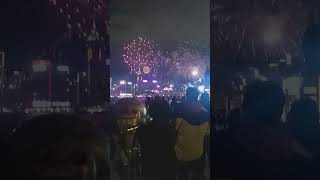 Chinese New year. 2025 Hongkong fireworks display