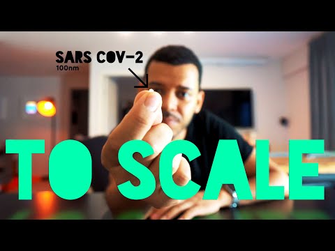How the coronavirus is invisible: SARS-CoV-2 to Scale