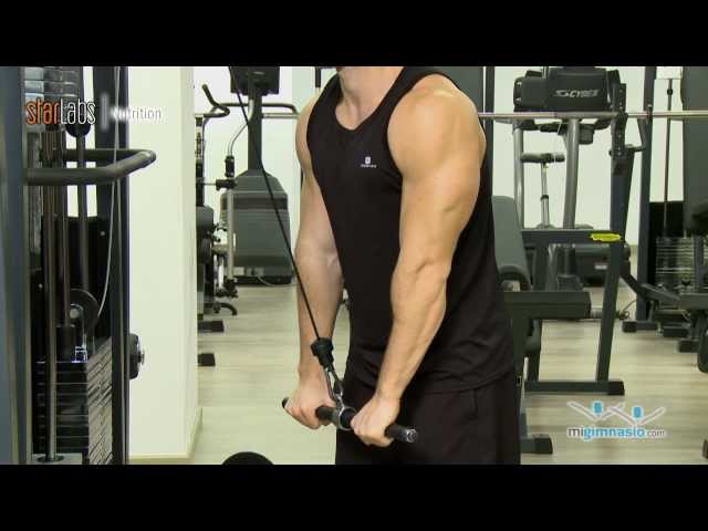 Cuerda Tríceps Polea - RP Deportes