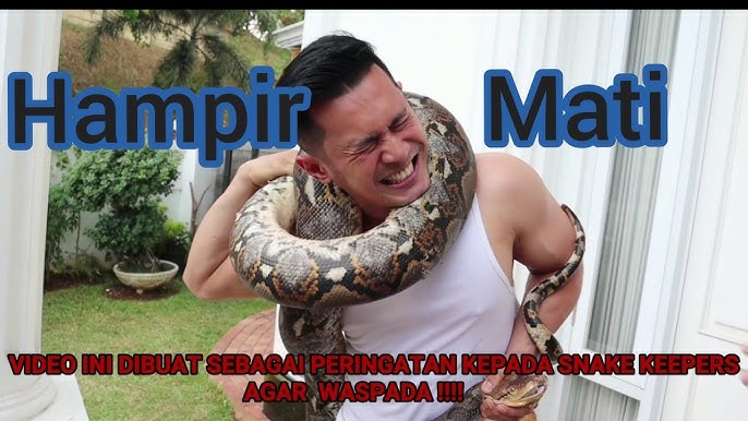 Toshoi bilan jinsiy aloqa