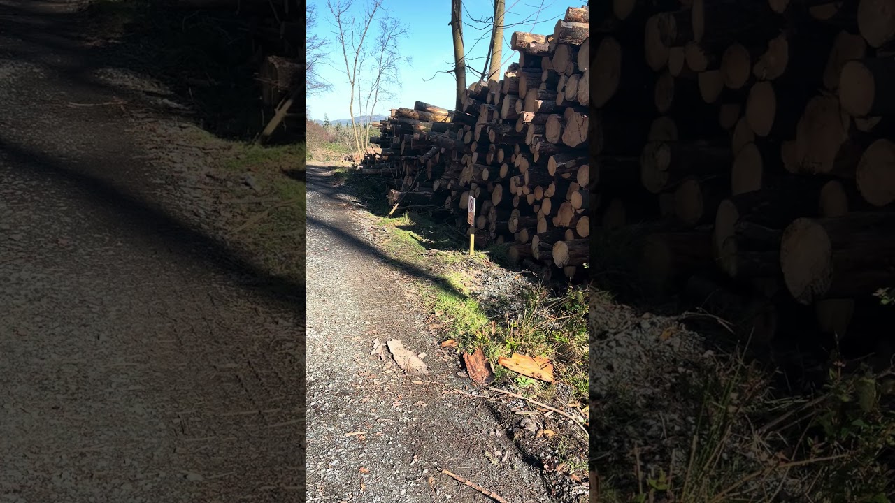 Giant log wall remaining, mountain