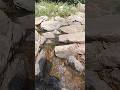 Jharna Pahad Se Gir Raha Hai! Original Sound 🔥 Full Masti 😂 &amp; Nature Vibes! 🌊 #waterfall #funny #new