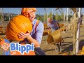 WE LOVE PUMPKINS! Blippi meets a big one | Kids TV Shows | Cartoons For Kids | Fun Anime | Popular