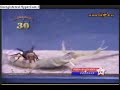 scorpion vs  hornet