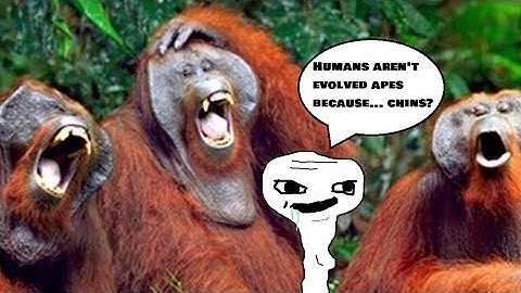 Dissecting One of the Laziest Creationist "Works" I Have Ever Seen